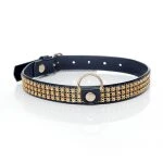 Fetish Halsband met Diamant 2 cm Goud
