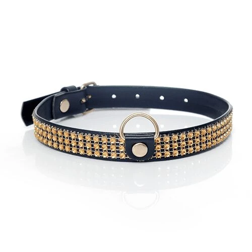 Fetish Halsband met Diamant 2 cm Goud