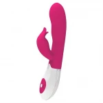 FELIX Vibrator 30 Standen