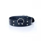Collar - Halsband - met studs - 4 cm- Fetish - Afbeelding 2