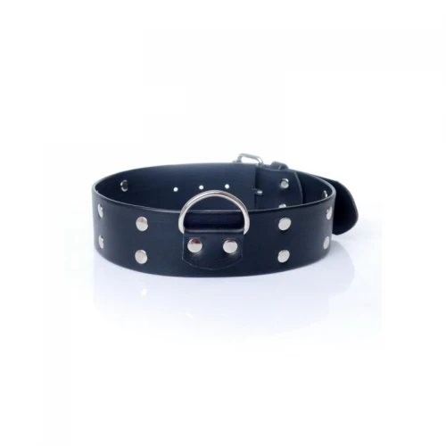 Collar - Halsband - met studs - 4 cm- Fetish - Afbeelding 2