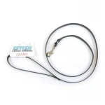 Fetish -  - Leash - Halsband