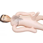 Opblaaspop- Mannelijke pop - BOSS - Male Doll - Afbeelding 5