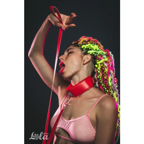 Halsband Party Hard Circus Rood - Afbeelding 5