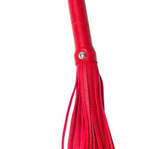 Zweep - Zweepje - Parabenen Vrij - BDSM - Bondage - Luxe Verpakking - Party Hard - Risqué - Rood - Afbeelding 3