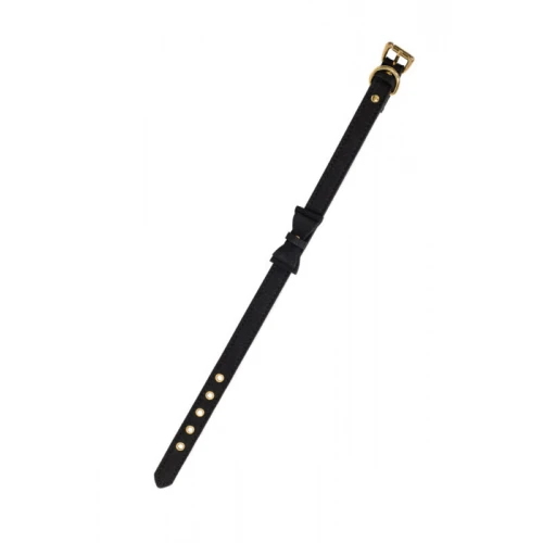 Halsband Kraag Met Gesp - Collar - BDSM - Bondage - Luxe Verpakking - Party Hard - Decadence - Zwart - Afbeelding 4