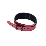 Verstelbare Halsband zonder Riem - Collar - BDSM - Bondage - Luxe Verpakking - Party Hard - Eccentric - Rood