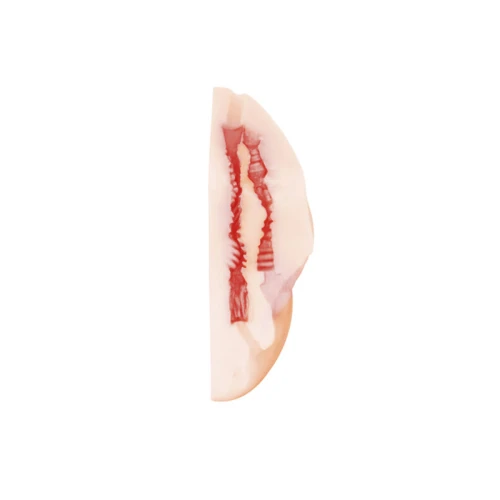 Realistische Masturbator met vibrerend ei met afstandsbediening - Extra zacht - Interne Textuur - Ftalaatvrij - Luxe verpakking - Satisfaction - Cherie - Huidskleur - Afbeelding 4