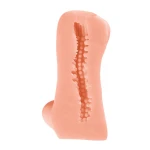 Realistische Masturbator - Extra zacht - Interne Textuur - Ftalaatvrij - Luxe verpakking - Satisfaction - Foxy Lady - Angie - Huidskleur - Afbeelding 4