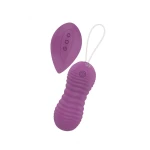 Vibrerend Ei met afstandsbediening - Vibrerend balletje - Take It Easy - Era - Hypoallergeen Siliconen - Krachtige motor - USB oplaadbaar - Waterdicht IPX6 - Paars