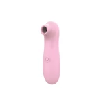 Take it Easy Fay Roze Oplaadbare USB Vacuum Wave Stimulator