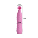 PRETTY LOVE - QUENTIN USB 12 zuigstanden - Afbeelding 6