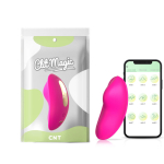 Panty Vibrator met App - Panty Vibe - Roze