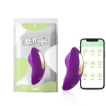 Panty Vibrator met App - Panty Vibe - Paars