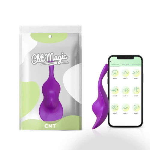 Panty Vibrator met App - The Violin - Paars