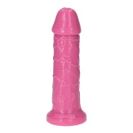 Dildo Leone - 25 cm - Made in Italy - Biobased - Ftalaten vrij - Roze - Afbeelding 2